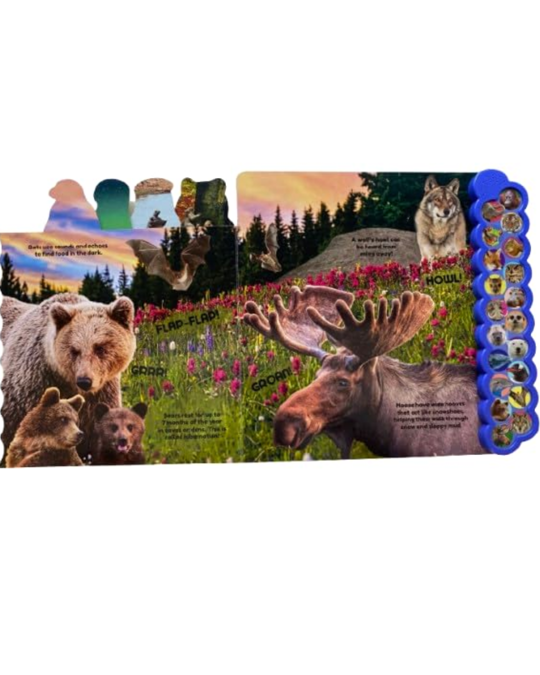 Animals Sound Book
