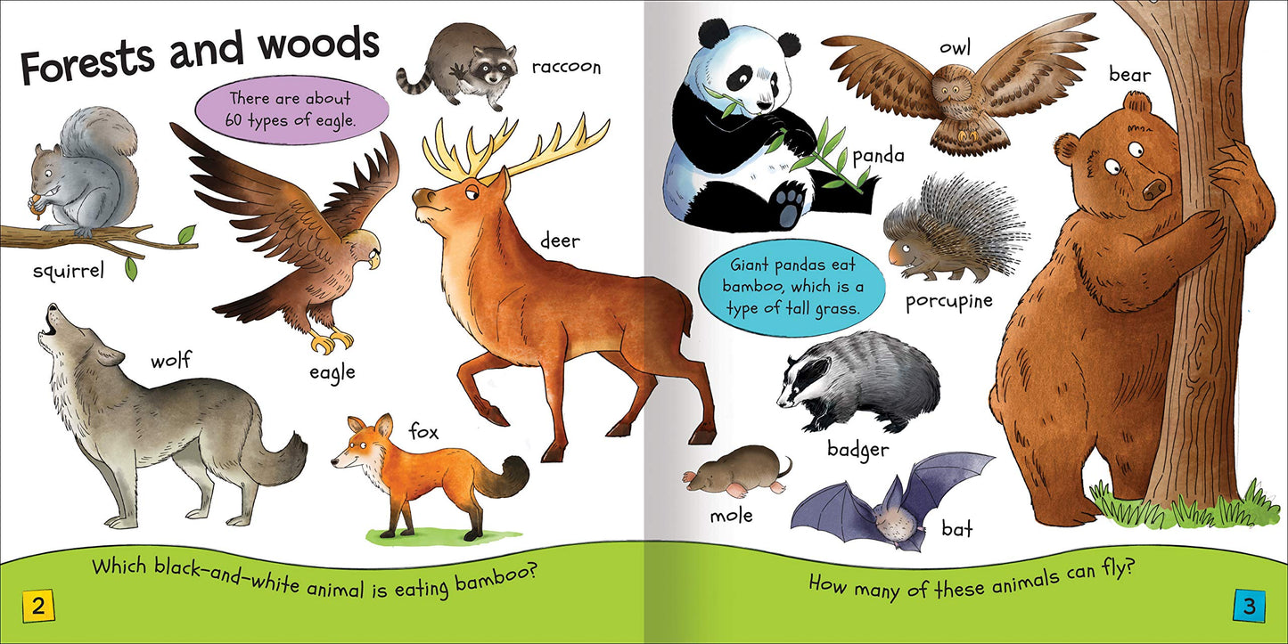 My Book of Animals
