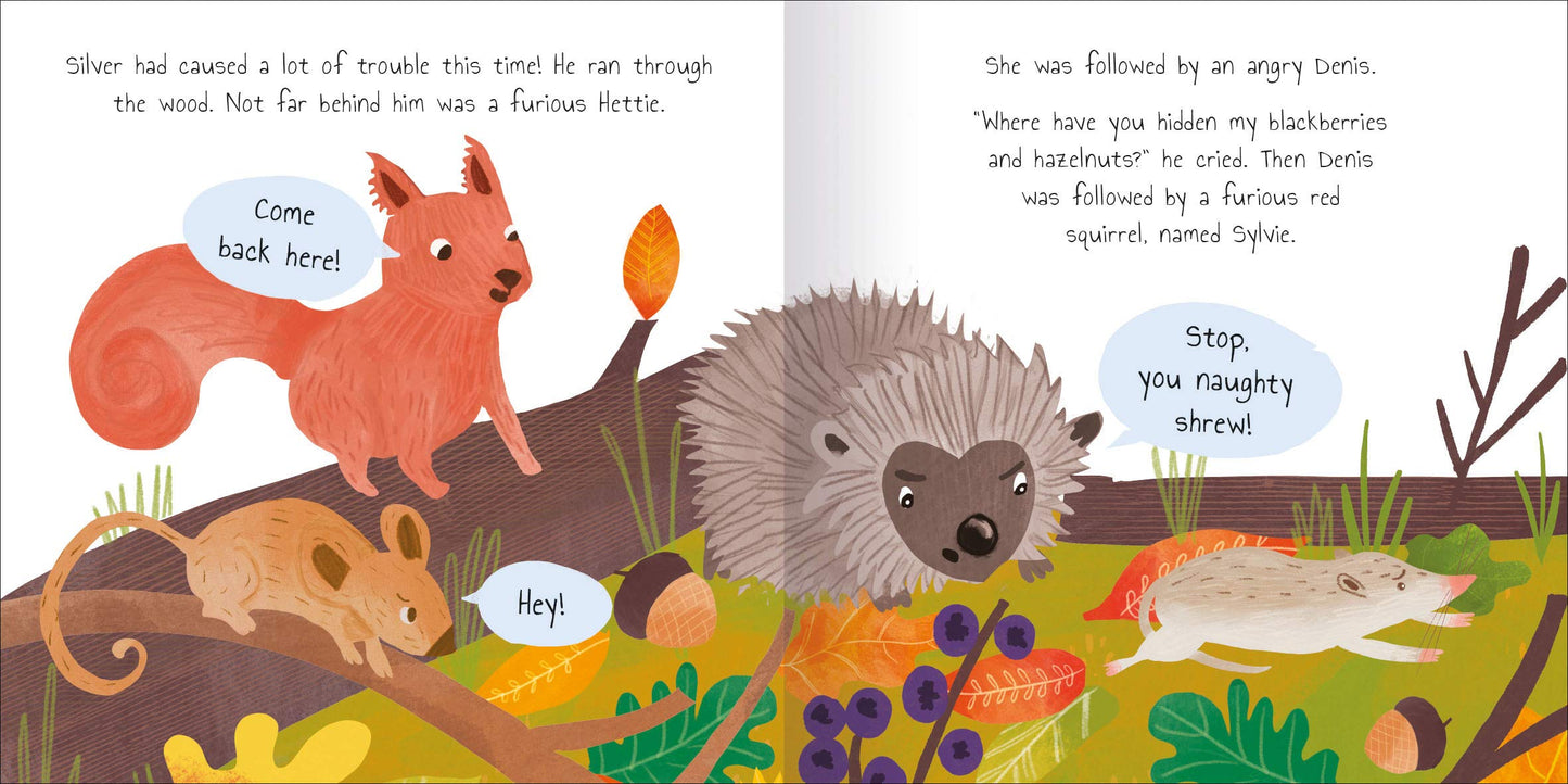 Woodland Tales Silver the Shrew