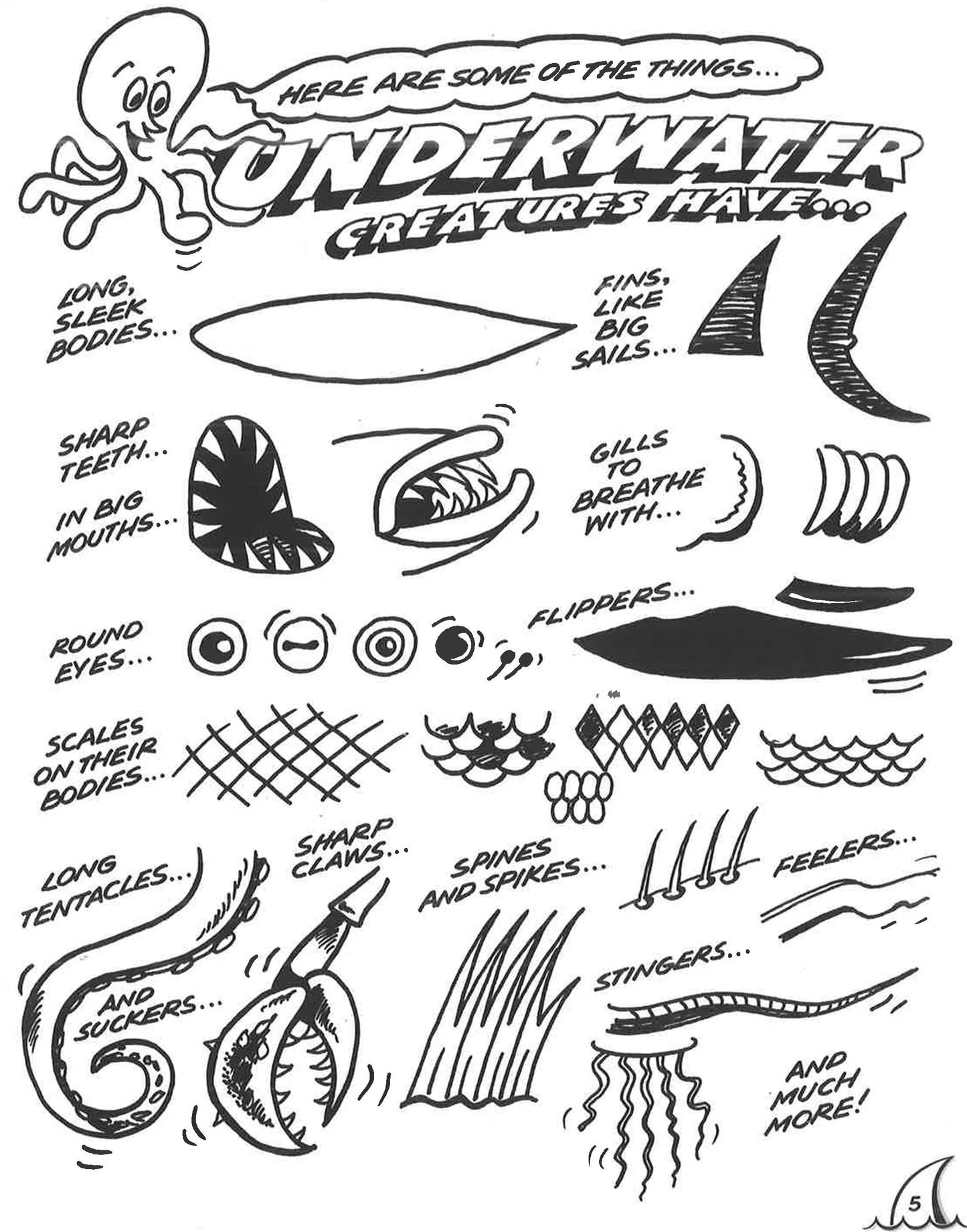 Fun To Draw : Sharks