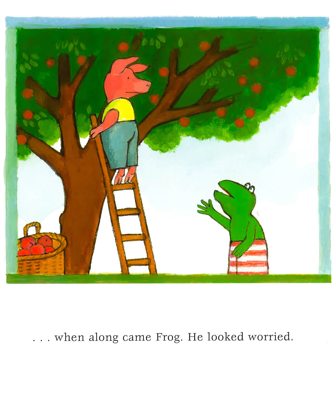 Frog and the Birdsong