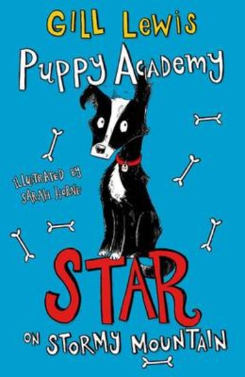 Puppy Academy 4 Book Collection