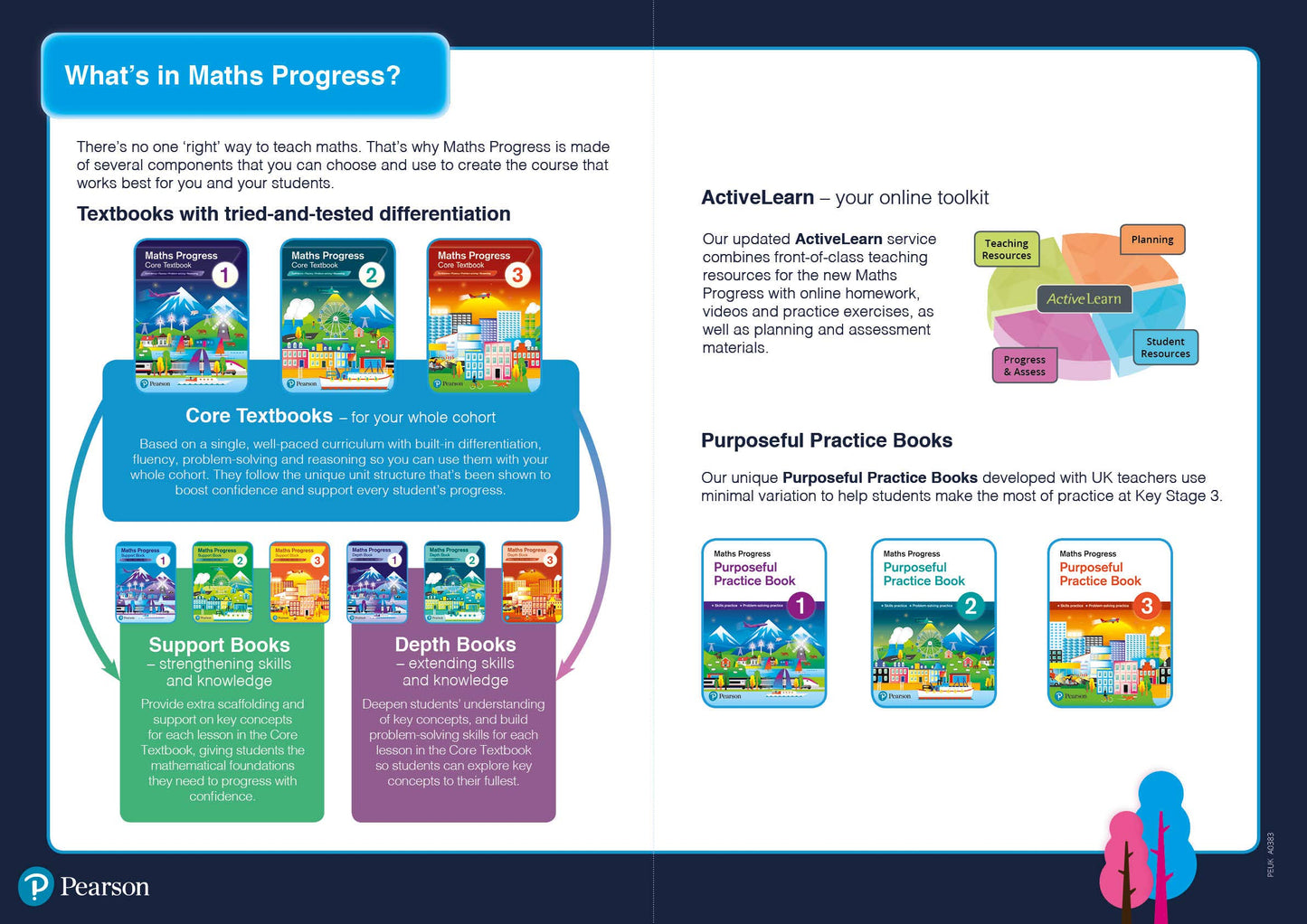 Maths Progress Purposeful Practice Book (Book 1)