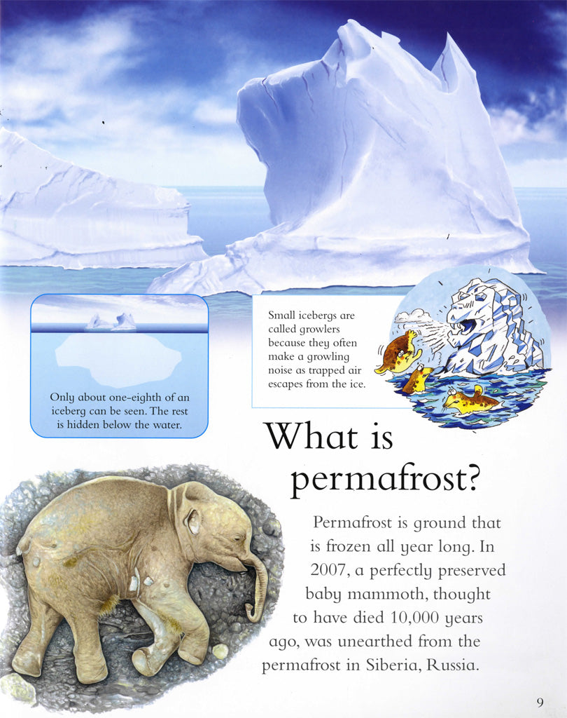 I Wonder Why: Penguins Can't Fly and other questions about polar lands