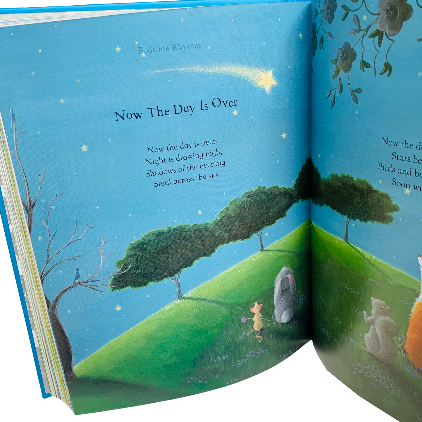 A Treasury of Nursery Rhymes