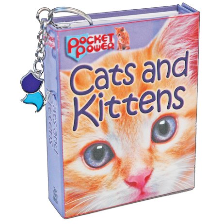 Pocket Power: Cats and Kittens