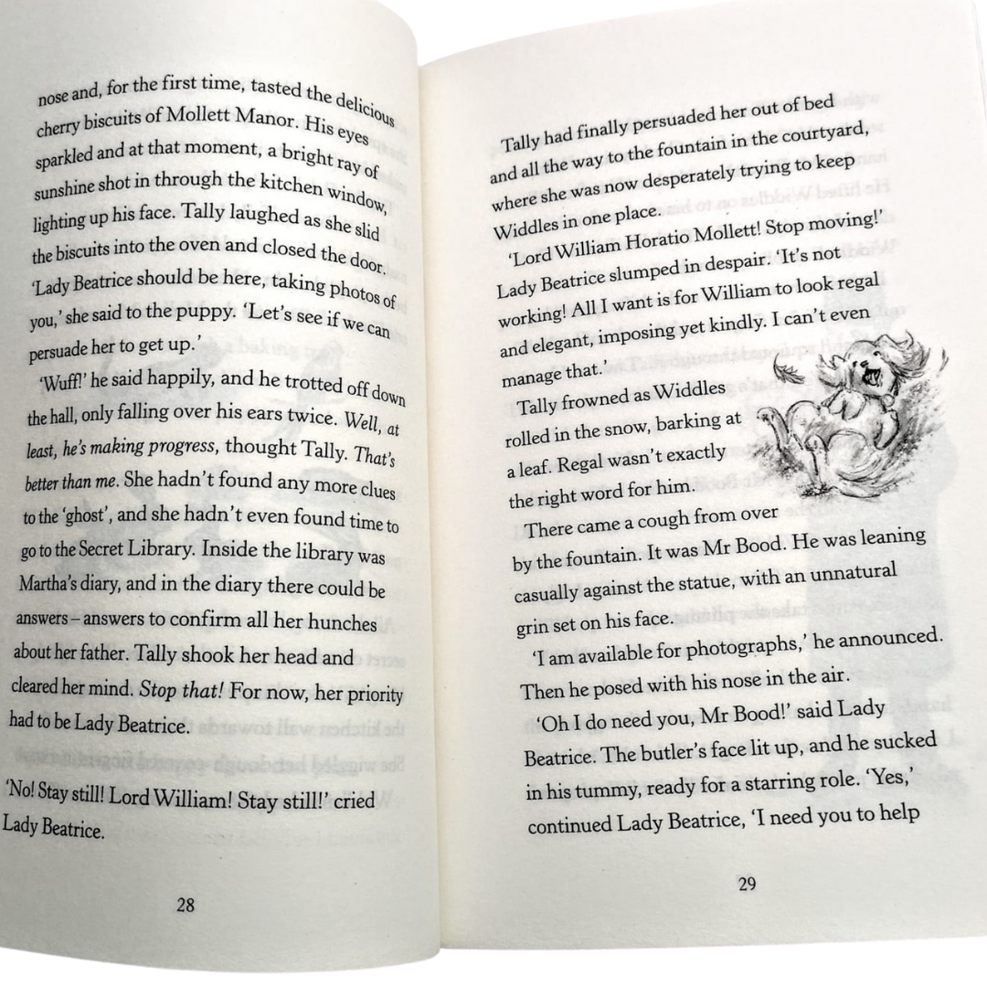 The Trapdoor Mysteries: Thief in the Night (Book 3)