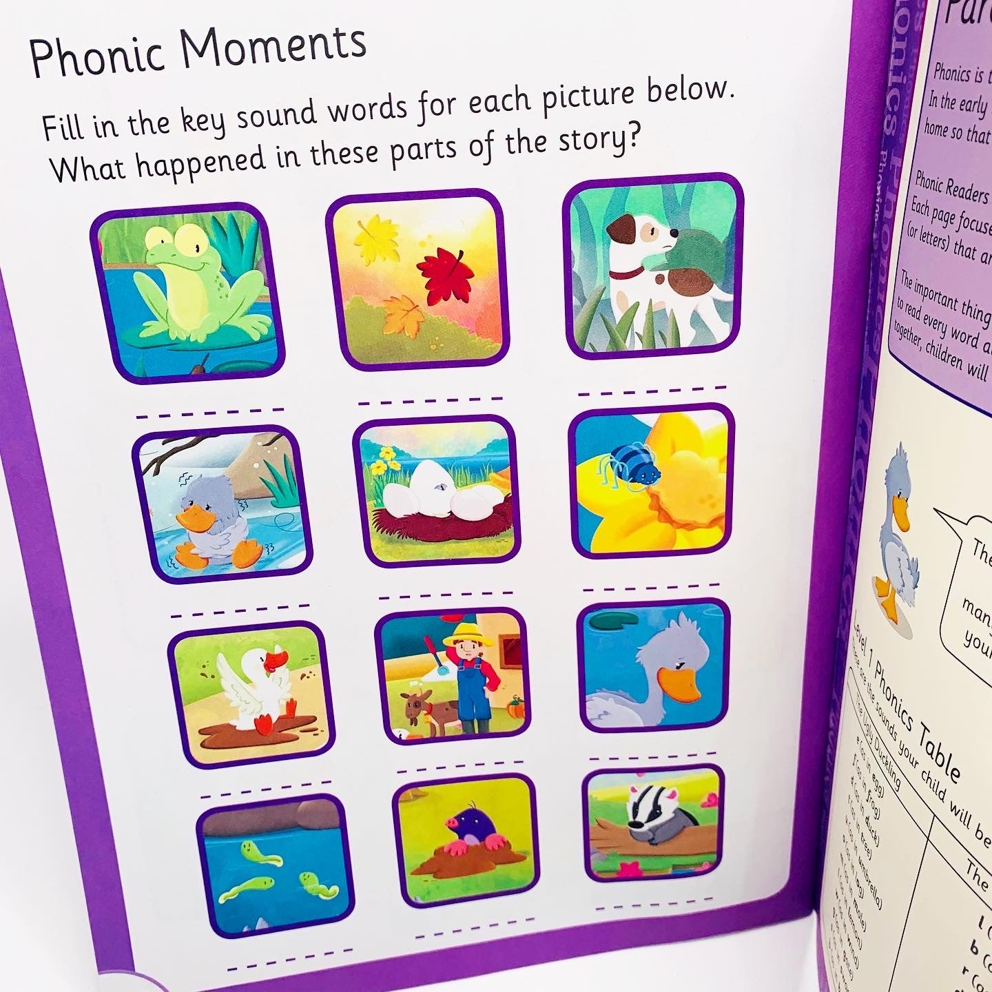 The Ugly Duckling (Phonic Readers: Level 1)