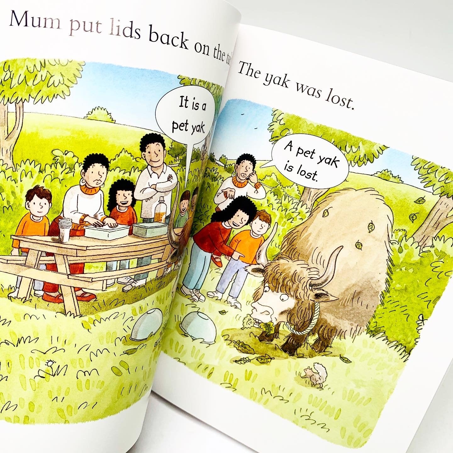 A Yak at the Picnic (Stage 1: Read with Oxford)