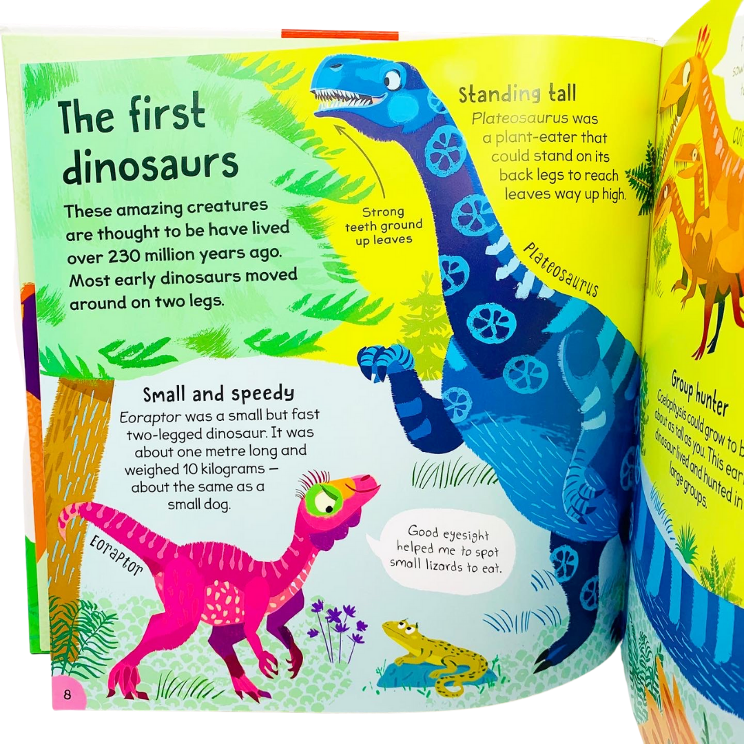 Miles Kelly: First Dinosaur Book