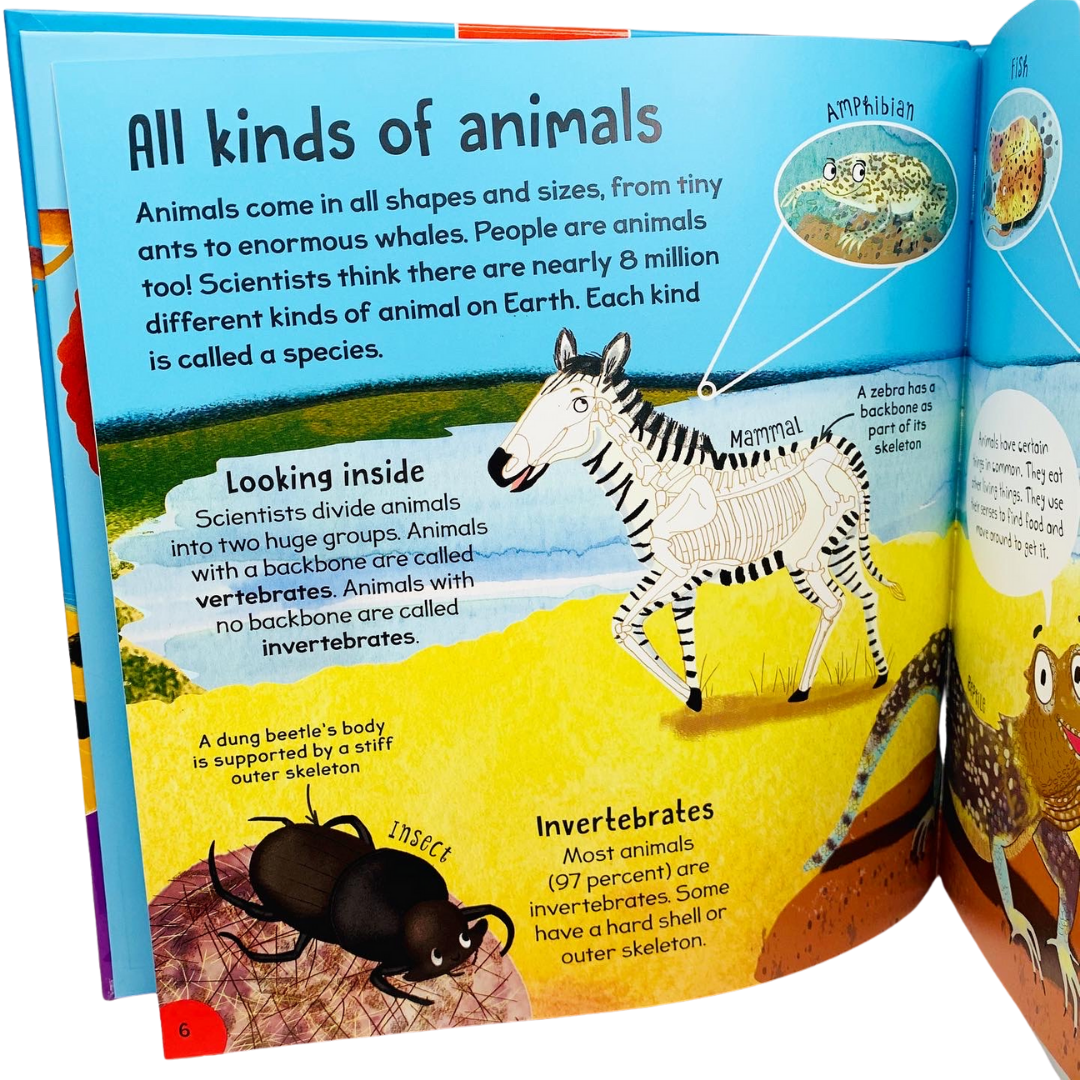 Miles Kelly: First Animal Book