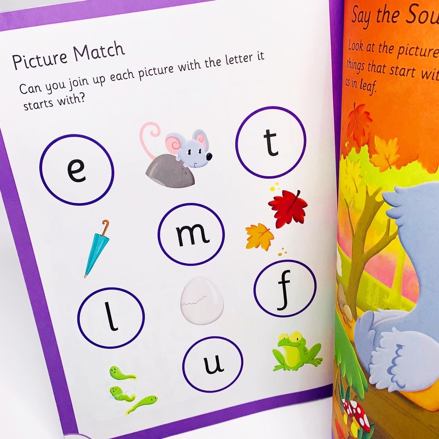 The Ugly Duckling (Phonic Readers: Level 1)