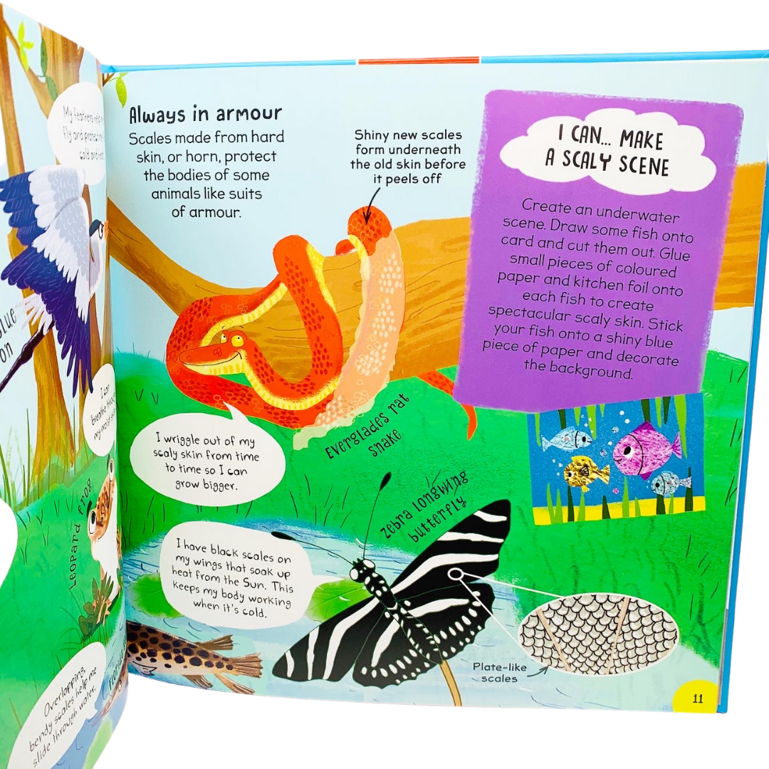 Miles Kelly: First Animal Book