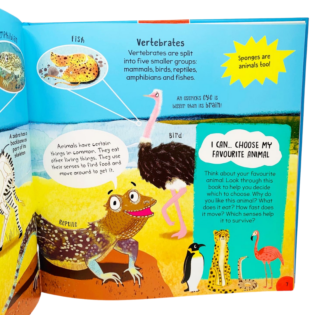 Miles Kelly: First Animal Book