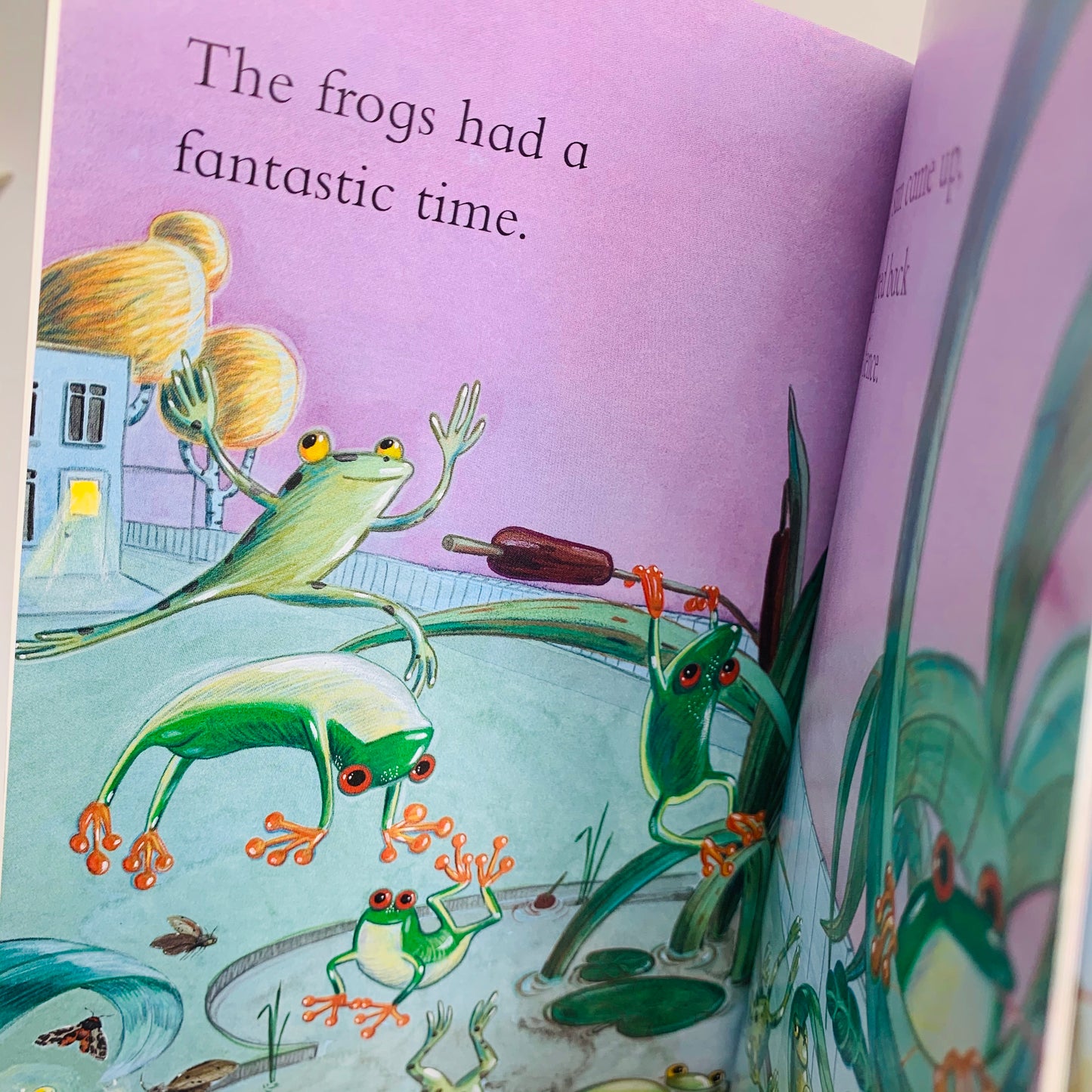 Ready for Reading! Hopping Mad! (Level 2)