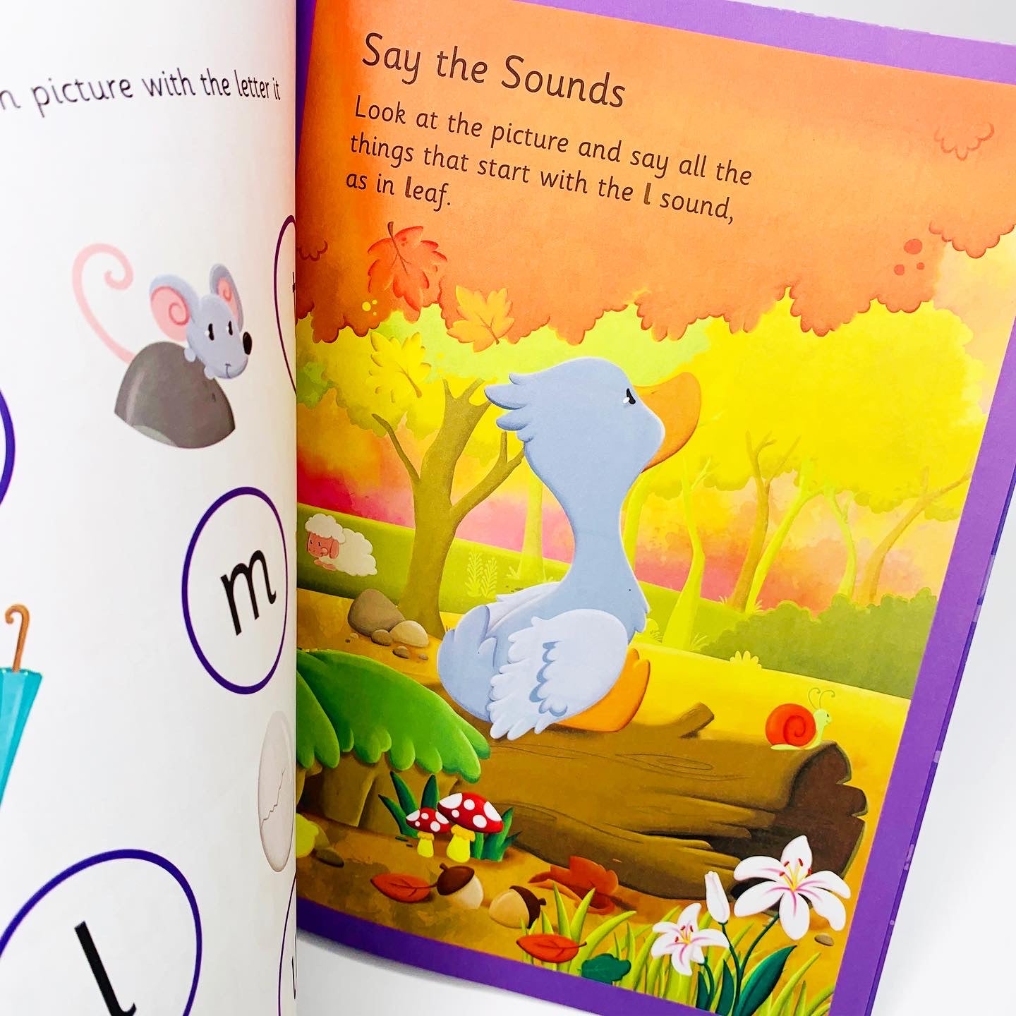 The Ugly Duckling (Phonic Readers: Level 1)
