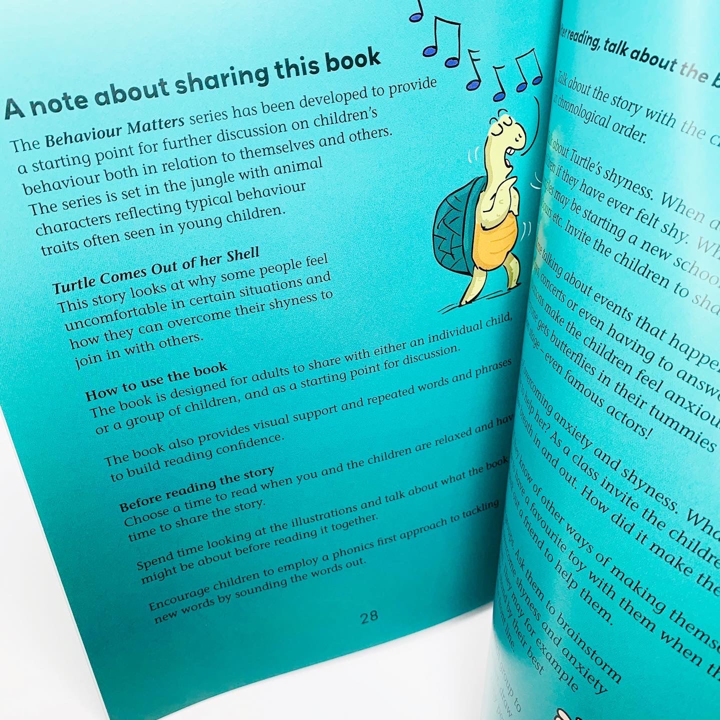 Behaviour Matters: Turtle Comes Out of Her Shell: A book about feeling shy