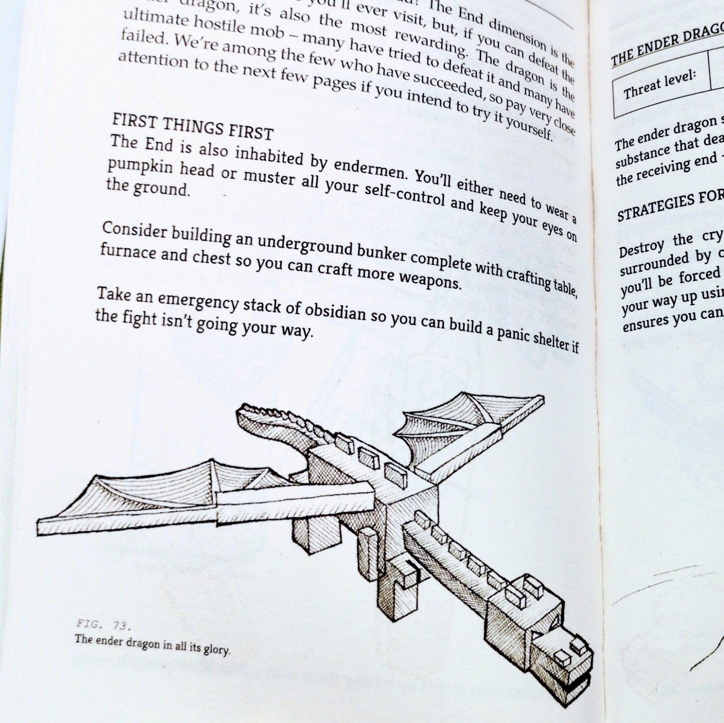 Minecraft: The Survivors' Book of Secret