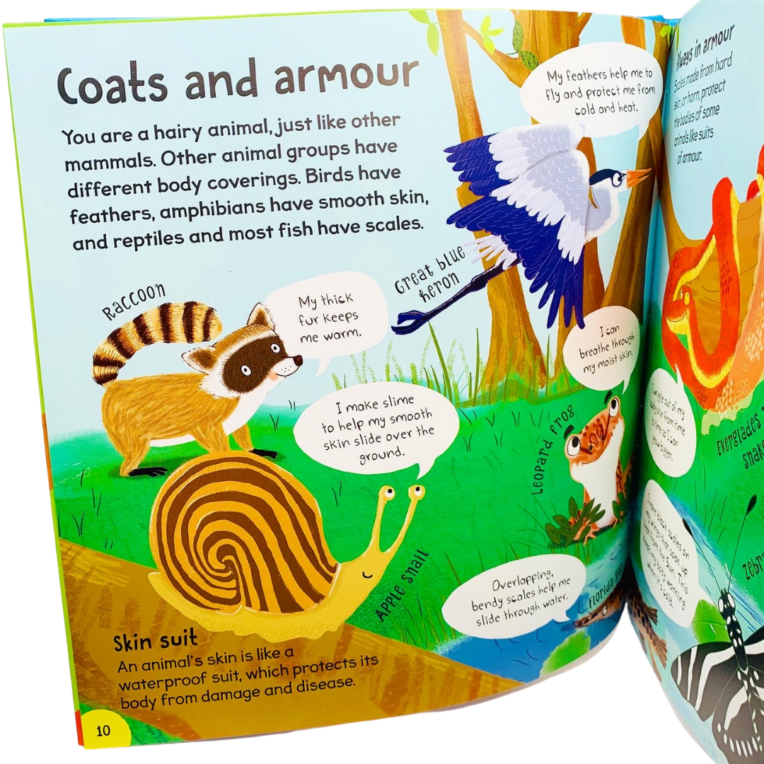 Miles Kelly: First Animal Book