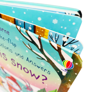 Lift the Flap: Q&A What is Snow?
