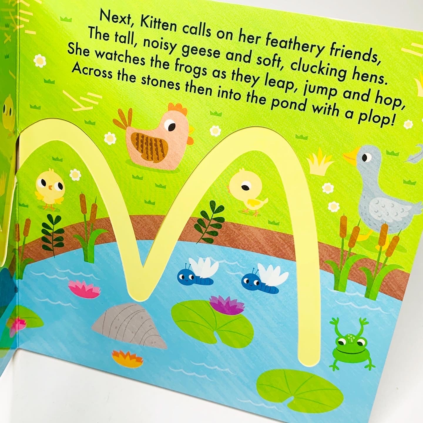 Follow Me: On the Farm