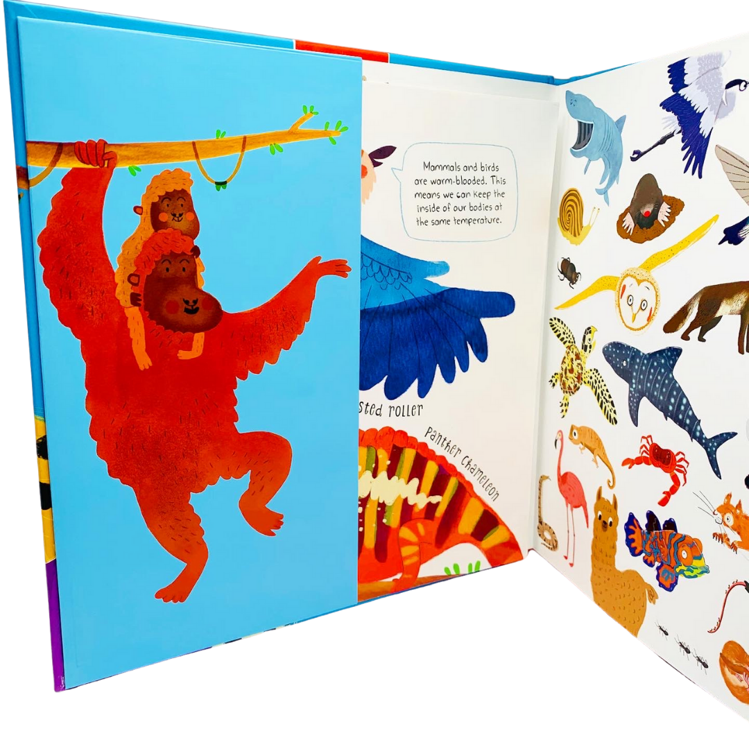 Miles Kelly: First Animal Book