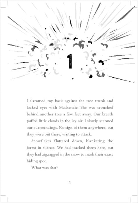 Mystery at the Ice Hotel: 2 (Chasing Danger)