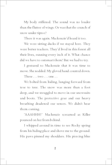 Mystery at the Ice Hotel: 2 (Chasing Danger)