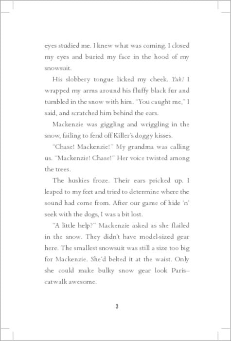 Mystery at the Ice Hotel: 2 (Chasing Danger)