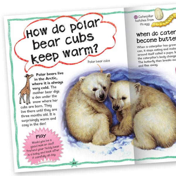 Questions & Answers: Animals