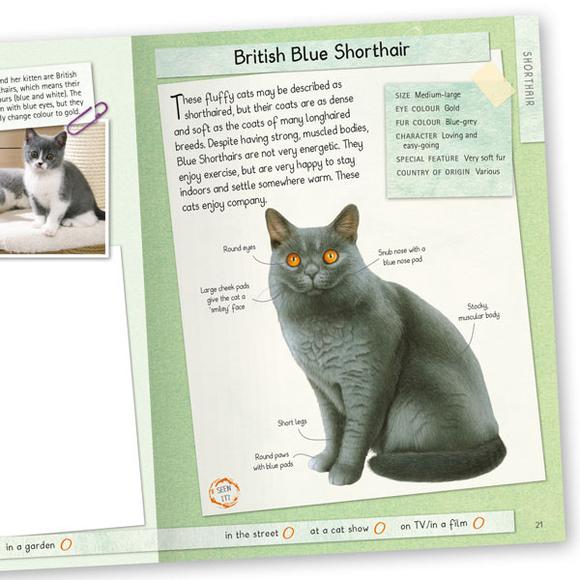 Spot 50 Cats