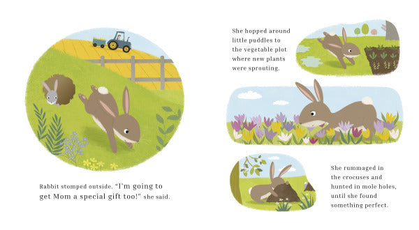 Rabbit's Spring Gift