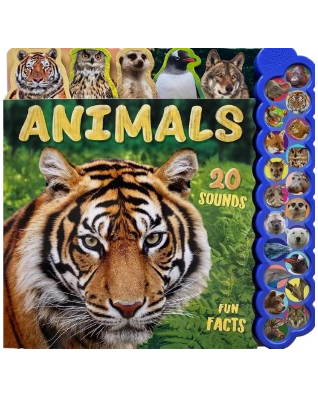 Animals Sound Book