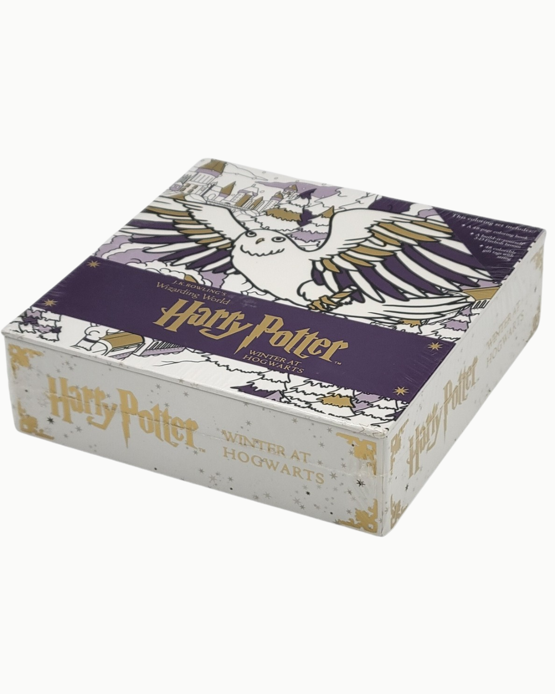 Harry Potter: Winter at Hogwarts: A Magical Coloring Set