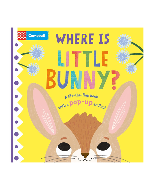 Where is Little Bunny?: The lift-the-flap book with a pop-up ending!