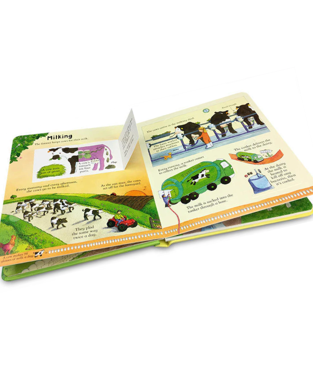 Look Inside a Farm (Usborne Look Inside)
