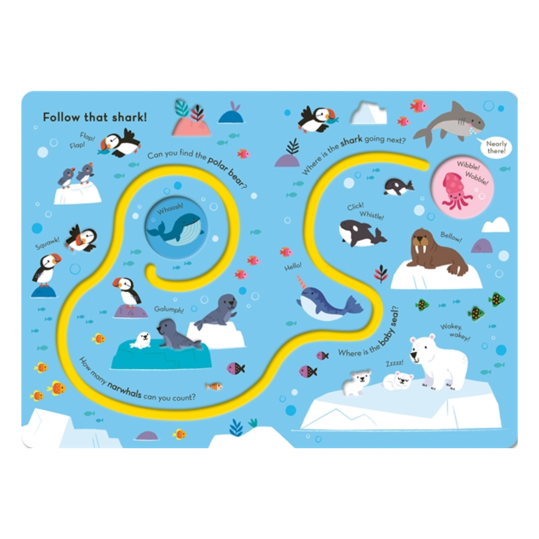 Follow that Shark! (Trace the Trails): Board book