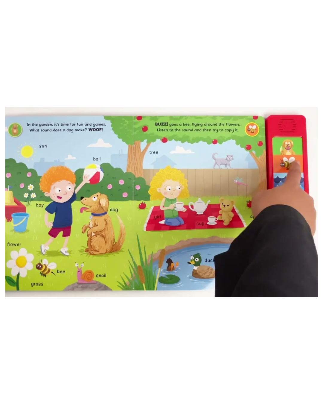 My First Words : Sound Book