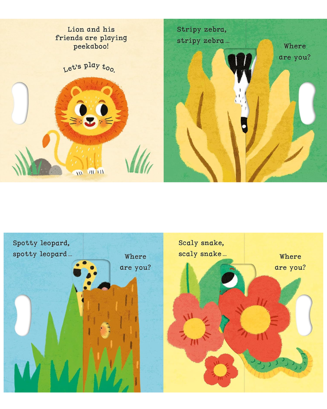 Lion, Lion, PEEKABOO!!