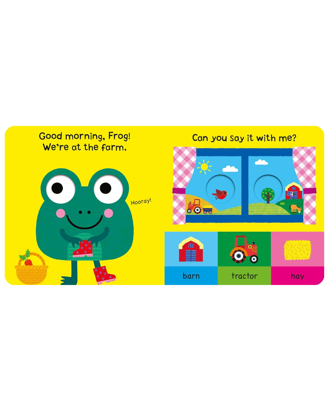 Frog At The Farm (The Googlies)