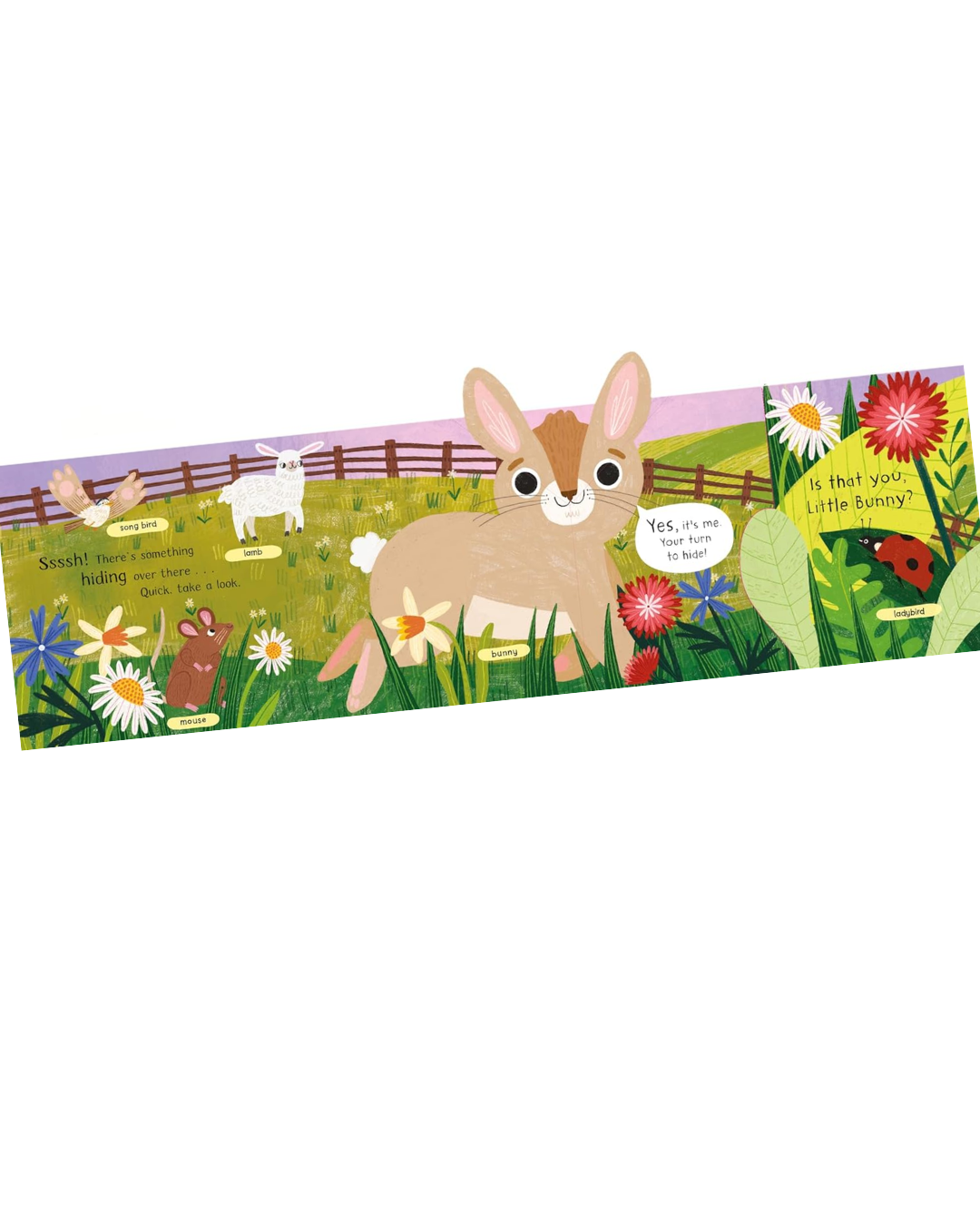 Where is Little Bunny?: The lift-the-flap book with a pop-up ending!