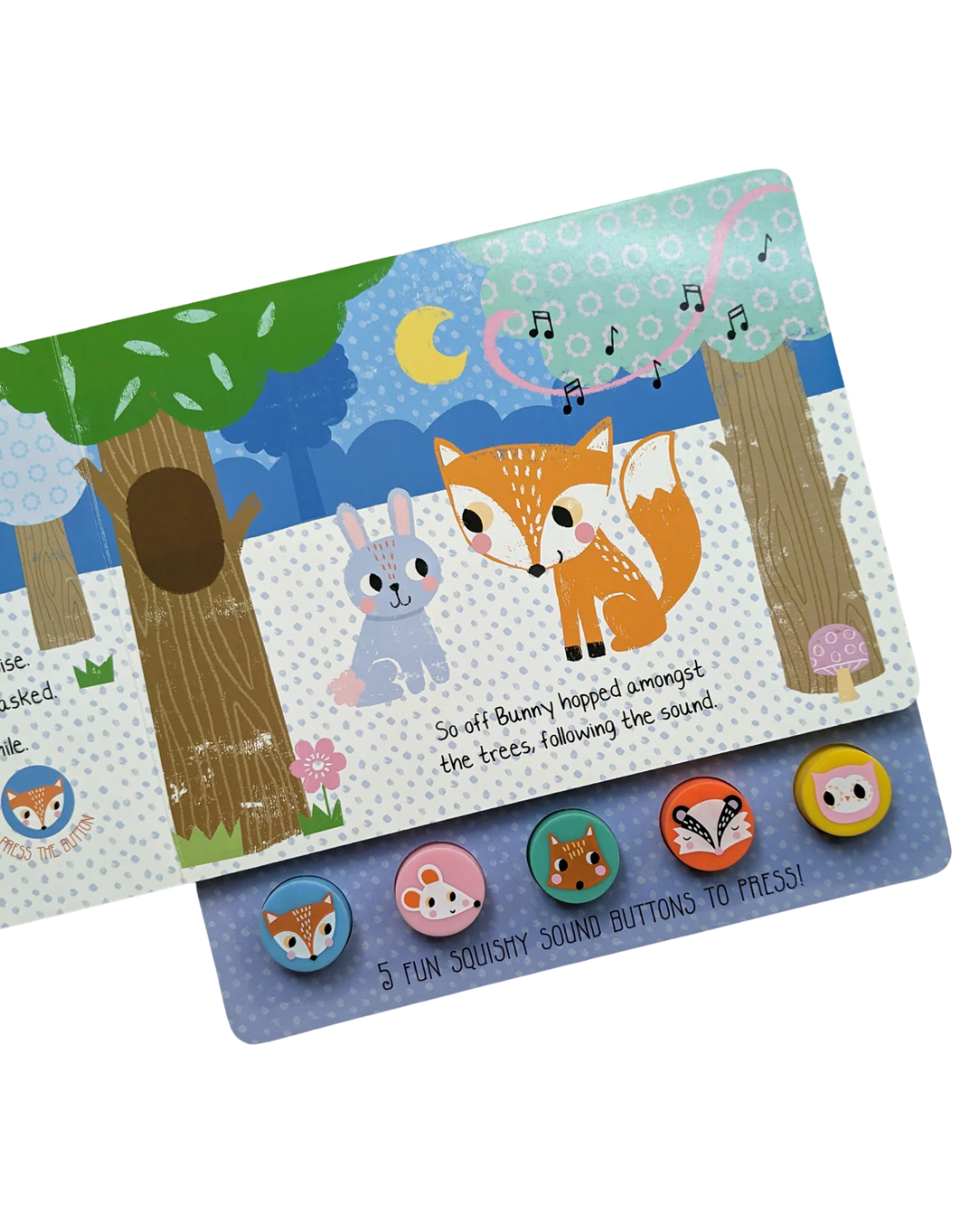 What Did Bunny Hear? - Children's 5 Button Sound Book