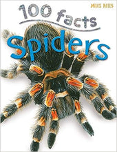 Load image into Gallery viewer, 100 Facts : Spiders Projects - Quizzes - Fun Facts - Cartoons