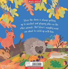Load image into Gallery viewer, Woodland Tales Silver the Shrew