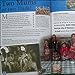 Would You Believe...in Mexico people picnic at granny's grave?!: and other dynastic delights