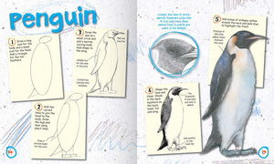 How To Draw Animals