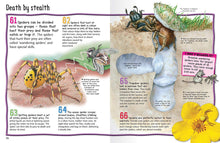 Load image into Gallery viewer, 100 Facts : Spiders Projects - Quizzes - Fun Facts - Cartoons
