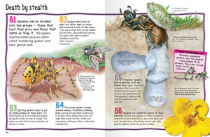 100 Facts : Spiders Projects - Quizzes - Fun Facts - Cartoons