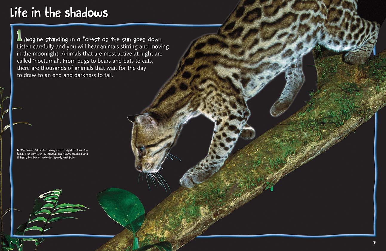 100 Facts Nocturnal Animals