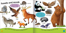 Load image into Gallery viewer, My Book of Animals